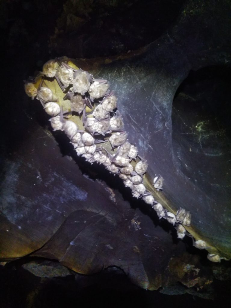 IMG 20190719 123642
